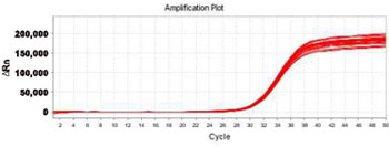 High-pressure homogenizer Test Report 2